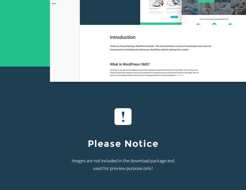 MarketOlogy - SEO and Marketing Agency Responsive WordPress Theme - Features Image 29