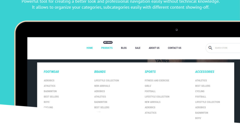 Hamintec - Luxury Quality Sneakers Store Shopify Theme - Features Image 3