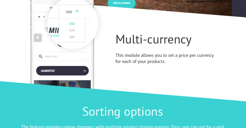 Hamintec - Luxury Quality Sneakers Store Shopify Theme - Features Image 6