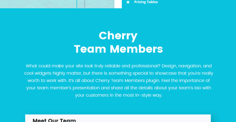 Template WordPress Responsive #62365 Yachting & Voyage Charter - Immagine Caratteristiche 3