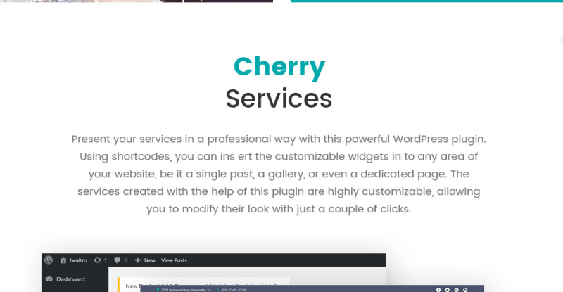 Stephania - Beauty Salon & Skin Care WordPress Theme - Features Image 3