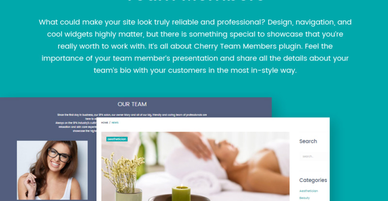 Stephania - Beauty Salon & Skin Care WordPress Theme - Features Image 6