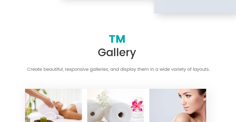 Stephania - Beauty Salon & Skin Care WordPress Theme - Features Image 8