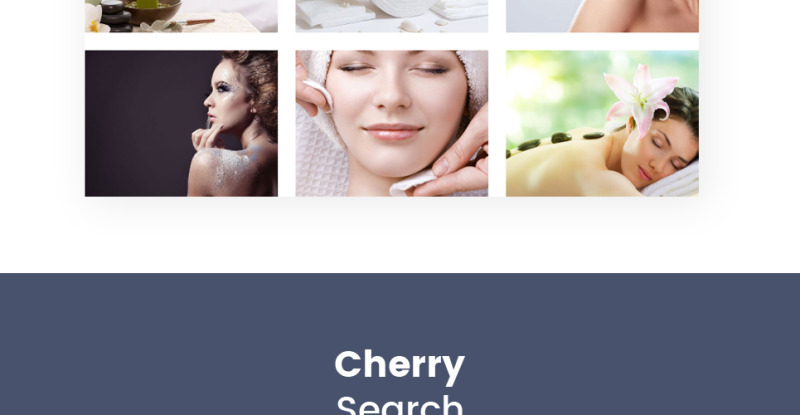 Stephania - Beauty Salon & Skin Care WordPress Theme - Features Image 9