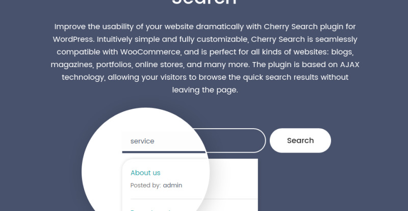 Stephania - Beauty Salon & Skin Care WordPress Theme - Features Image 10