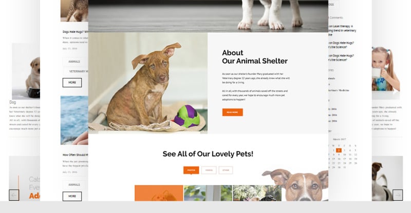 PetInn - Animal Shelter Responsive WordPress Theme