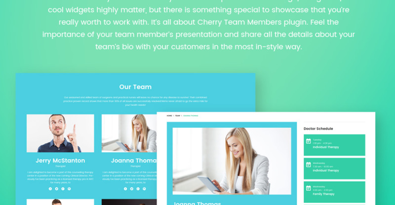 Counselor - Counseling Therapy Center Responsive WordPress Theme - Features Image 6