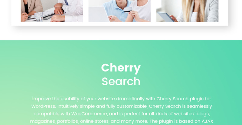 Counselor - Counseling Therapy Center Responsive WordPress Theme - Features Image 10