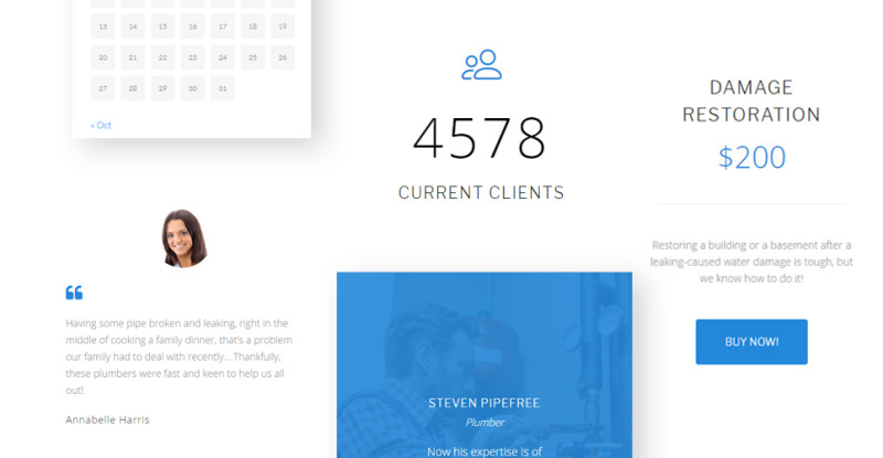 Reszponzív Plumber & Repair Services WordPress sablon 63395 - Képpel 14