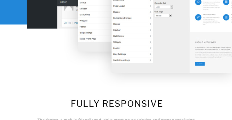 Reszponzív Plumber & Repair Services WordPress sablon 63395 - Képpel 17