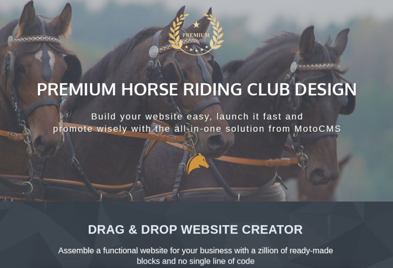 Manelity - Equestrian & Horse Riding Club Premium Moto CMS 3 Template - Features Image 1