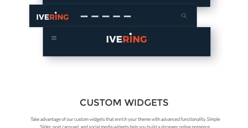 Bike Courier & Package Delivery - адаптивний WordPress шаблон №63526 - Характеристики зображення 14