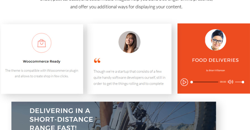 Bike Courier & Package Delivery - адаптивний WordPress шаблон №63526 - Характеристики зображення 15