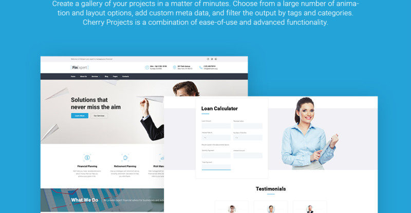 WordPress Theme namens FinExpert - Financial Advisory Company Responsive #63599 - Bildeigenschaften 4
