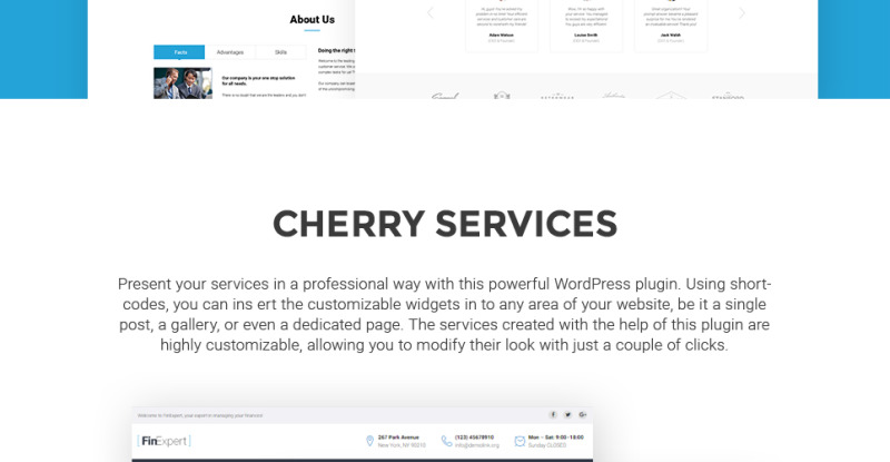 WordPress Theme namens FinExpert - Financial Advisory Company Responsive #63599 - Bildeigenschaften 5