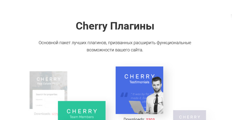 ProShot - адаптивная тема WordPress для теннисного клуба - Features Image 3