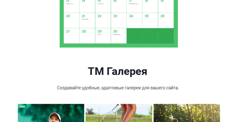 ProShot - адаптивная тема WordPress для теннисного клуба - Features Image 17