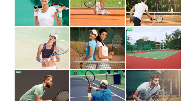 ProShot - адаптивная тема WordPress для теннисного клуба - Features Image 18