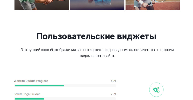 ProShot - адаптивная тема WordPress для теннисного клуба - Features Image 19