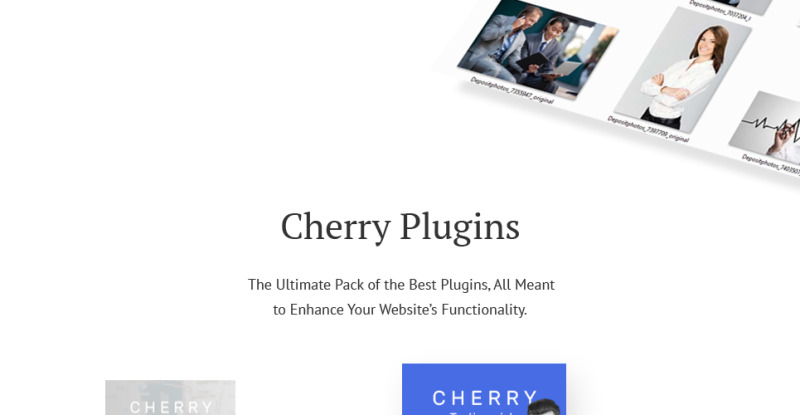 Minister - Political Candidate Responsive WordPress Theme - Features Image 4