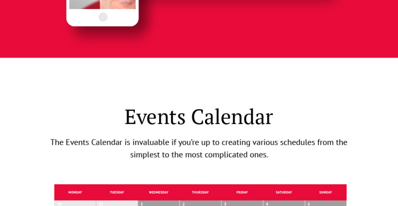 Minister - Political Candidate Responsive WordPress Theme - Features Image 19