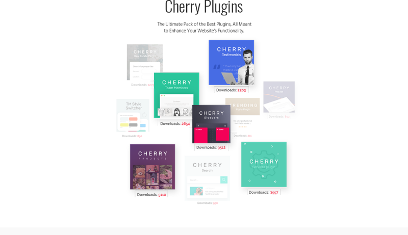 Responzivní WooCommerce motiv Pamid - Drug Store Responsive WooCommerce Theme #64146 - Obrázek funkce 2