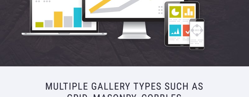Dino Museum Website Template - Features Image 11