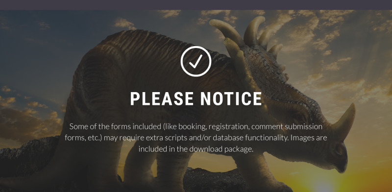 Dino Museum Website Template - Features Image 16