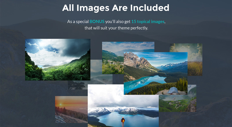 Tema WordPress Responsive #64785 LifeisWild - Wild Life WordPress Theme - Immagine Caratteristiche 5