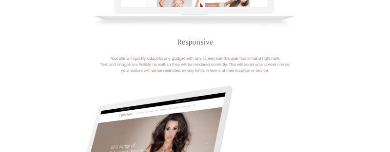 Responsive Lingerie Responsive Shopify Theme #65125 - 2 Görüntü Özellikleri