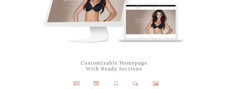 Responsive Lingerie Responsive Shopify Theme #65125 - 3 Görüntü Özellikleri
