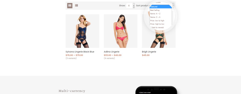 Responsive Lingerie Responsive Shopify Theme #65125 - 5 Görüntü Özellikleri