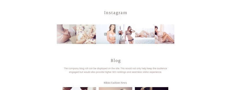 Responsive Lingerie Responsive Shopify Theme #65125 - 7 Görüntü Özellikleri