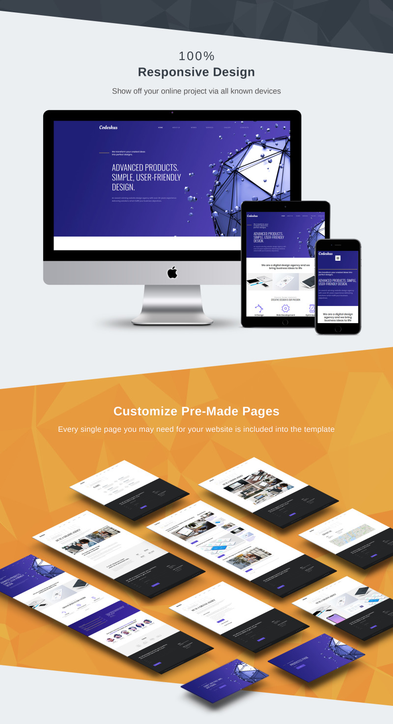 Codeskus - Web Design Agency Premium Moto CMS 3 Template - Features Image 3