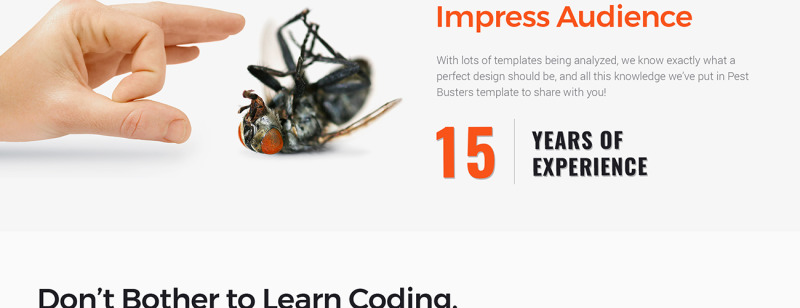 Pest Busters - Pest Control WordPress Theme #65455