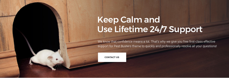 Pest Busters - Pest Control WordPress Theme - Features Image 7