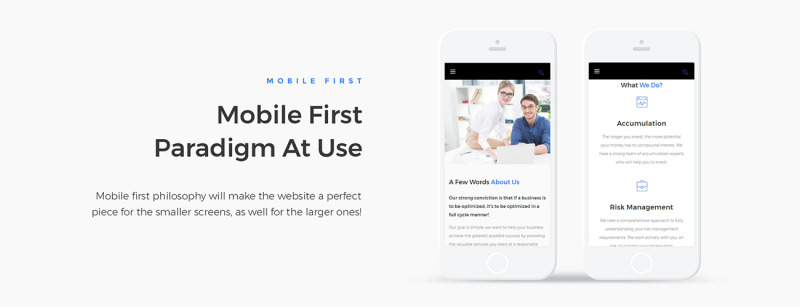 Investero - Accountant Expert Responsive Tema WordPress №65854 - Features Image 4
