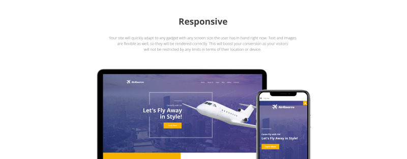 Airlinerra - Private Airline Joomla Template - Features Image 1