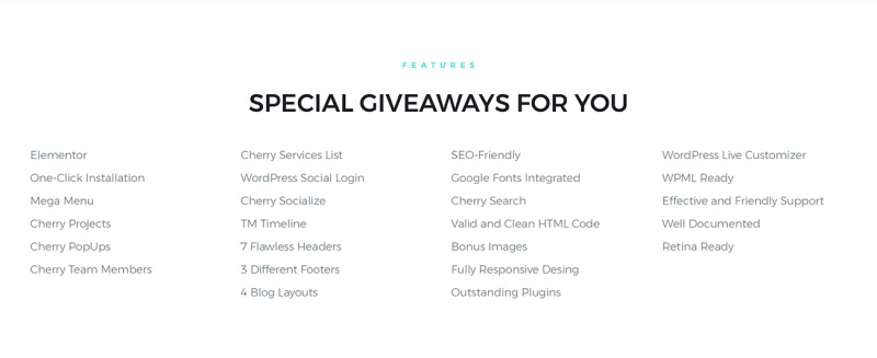 Carmen Design Portfolio WordPress Theme - Features Image 7