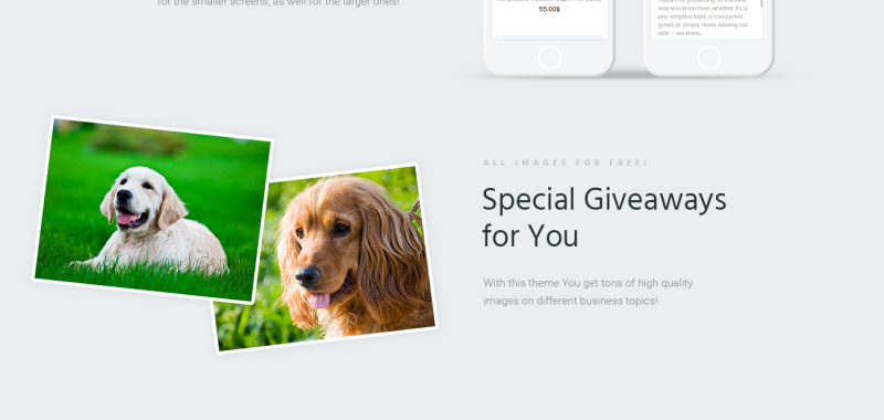 Cuddles - Pet Shop WooCommerce Theme Tema WooCommerce №65909 - Apresenta Imagens 5