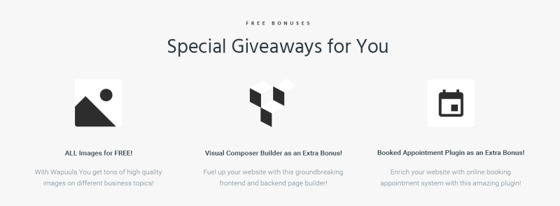 Dominer Business & Services WordPress Theme - Features Image 5