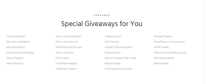 Dominer Business & Services WordPress Theme - Features Image 7