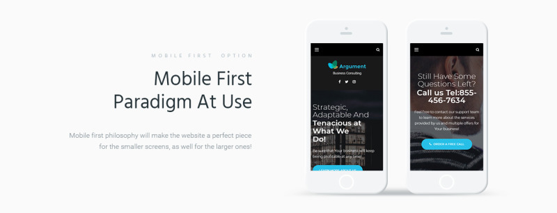 Argument Business Consulting WordPress Theme - Features Image 4