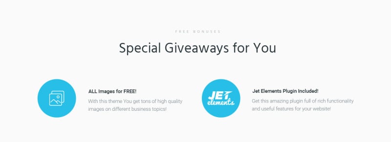 Argument Business Consulting WordPress Theme - Features Image 5