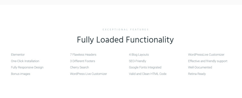 Argument Business Consulting WordPress Theme - Features Image 7