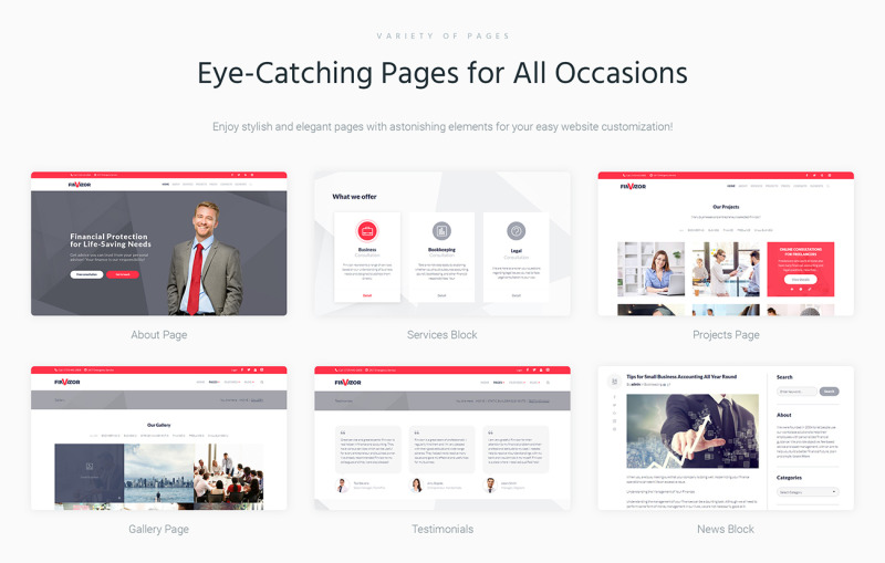FinVisor Business Consultant WordPress Theme - Features Image 2