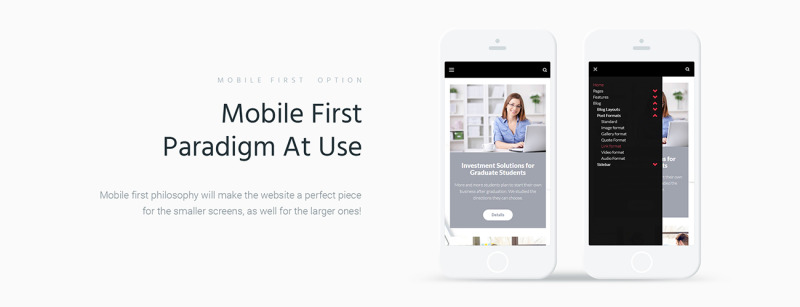 FinVisor Business Consultant WordPress Theme - Features Image 4