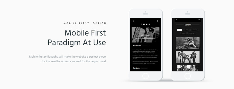 Zoomin - Photographer Portfolio WordPress Theme - Features Image 4