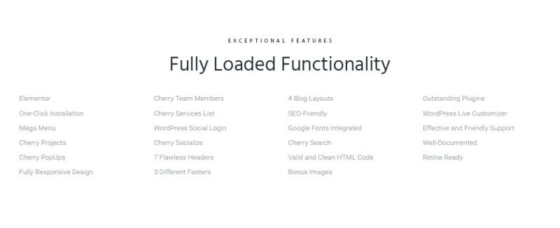 Zoomin - Photographer Portfolio WordPress Theme - Features Image 7