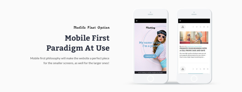 Flashing - Photographer Portfolio WordPress Theme - Features Image 4